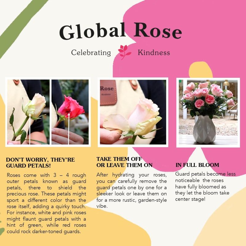 GlobalRose Fresh Cut Pink Roses - 50 (2 Bundles of 25) - Real Fresh Flowers Bouquet for Mother's Day, Birthday, Anniversary, Bridal Shower, or Home Decor - Flowers Delivery Gift - Image 3